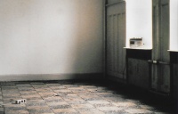 cassette player with interview of ornithologist about birds migration