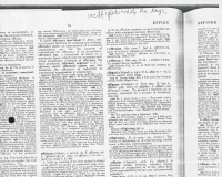 Dictionary page with the word 'effigiation' used as background material